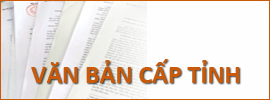 Văn bản cấp tỉnh