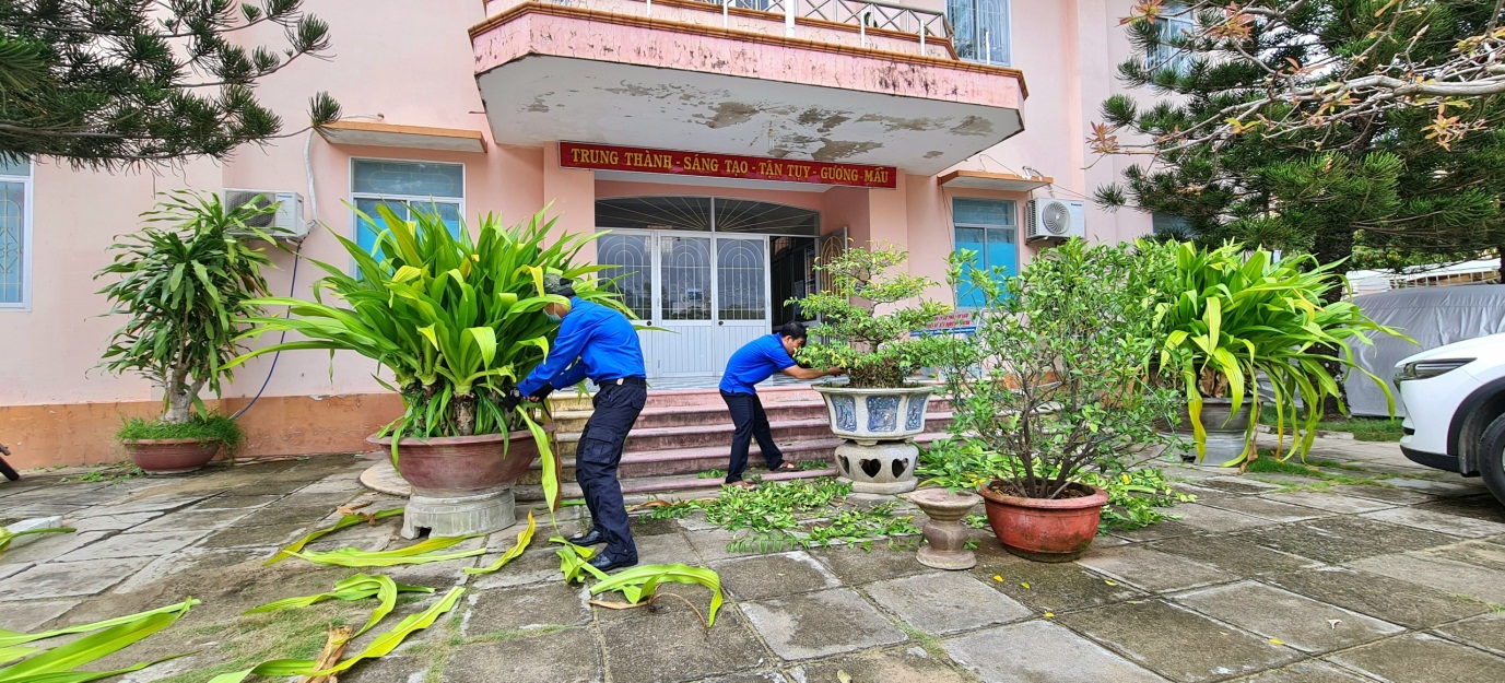 Đoàn viên Chi đoàn thực hiện ngày Chủ Nhật xanh cắt tỉa cây cảnh, vệ sinh sân Trường. Ảnh: TTCT