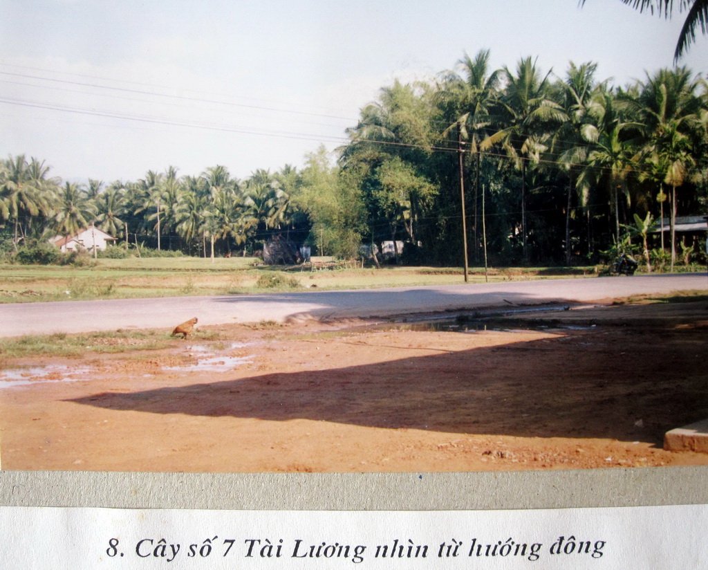 tai luong 4